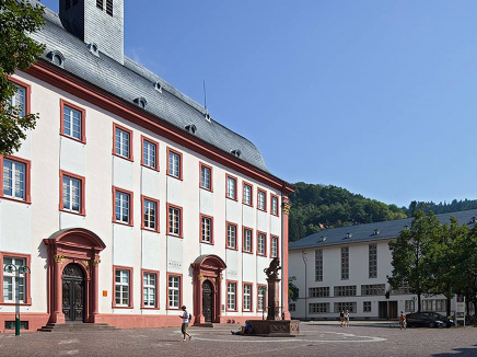 Ruprecht-Karls-Universität Heidelberg